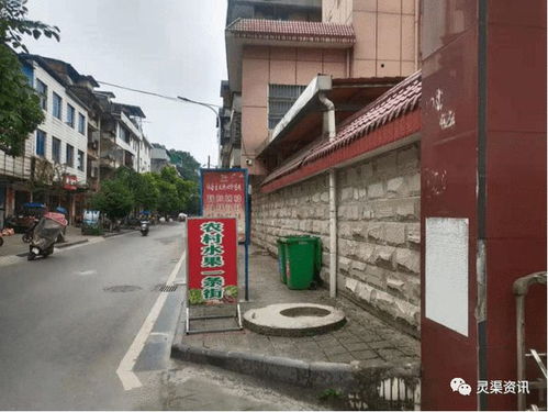 桂林這里搞得好啊 開放水果售賣便民點(diǎn) 縣城管局 安置點(diǎn) 網(wǎng)易訂閱